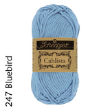 Buy Scheepjes Cahlista from Cotton Pod UK