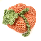 COTTON POD Pumpkin Crochet Kits  mi