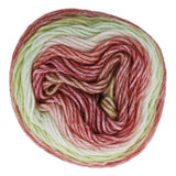 Scheepjes Stone Washed Flow (Sport)