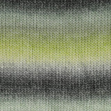 Scheepjes Stone Washed Flow XL (Aran)