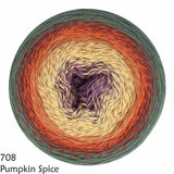 * NEW * Scheepjes Cotton Whirl