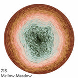 * NEW * Scheepjes Cotton Whirl