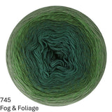 * NEW * Scheepjes Cotton Whirl