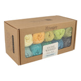 Scheepjes Stone Washed Colour Pack ~ 10x25g - Grounding