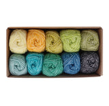 Scheepjes Stone Washed Colour Pack ~ 10x25g - Grounding